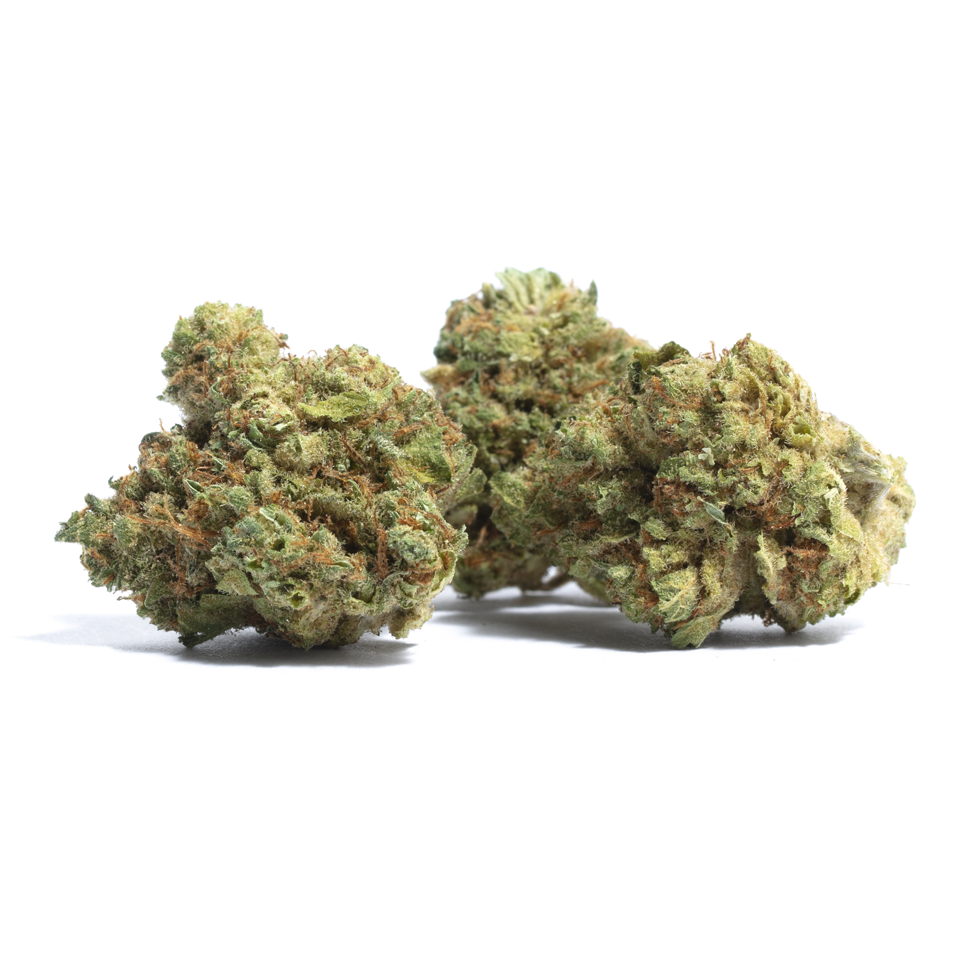 Foto de la variedad Mango Haze
